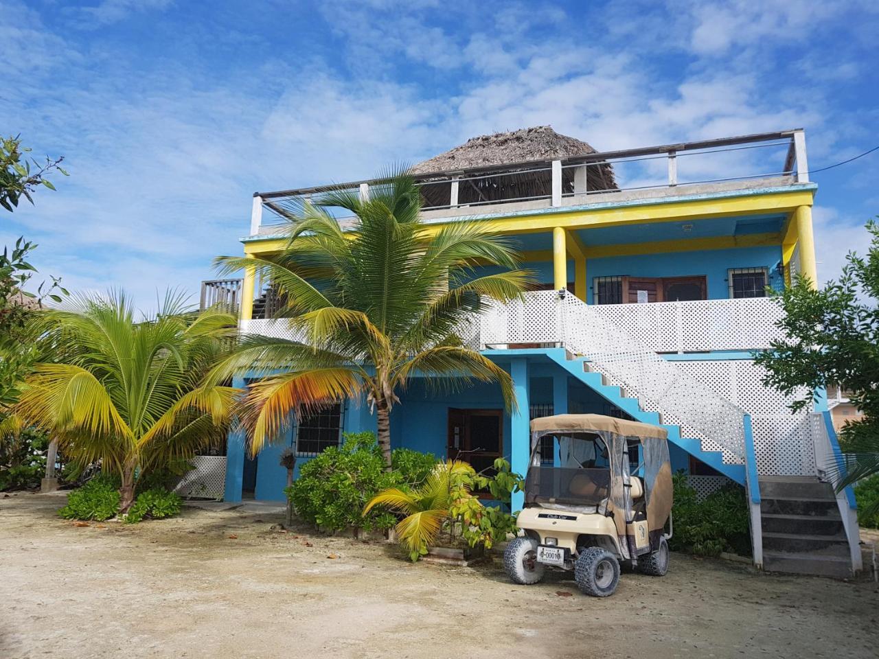 Trellis House Leilighet Caye Caulker Eksteriør bilde