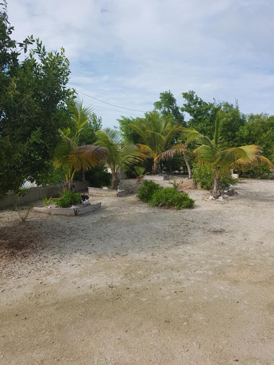 Trellis House Leilighet Caye Caulker Eksteriør bilde