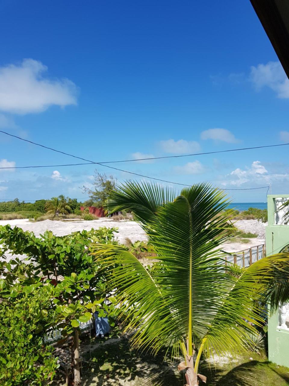 Trellis House Leilighet Caye Caulker Eksteriør bilde